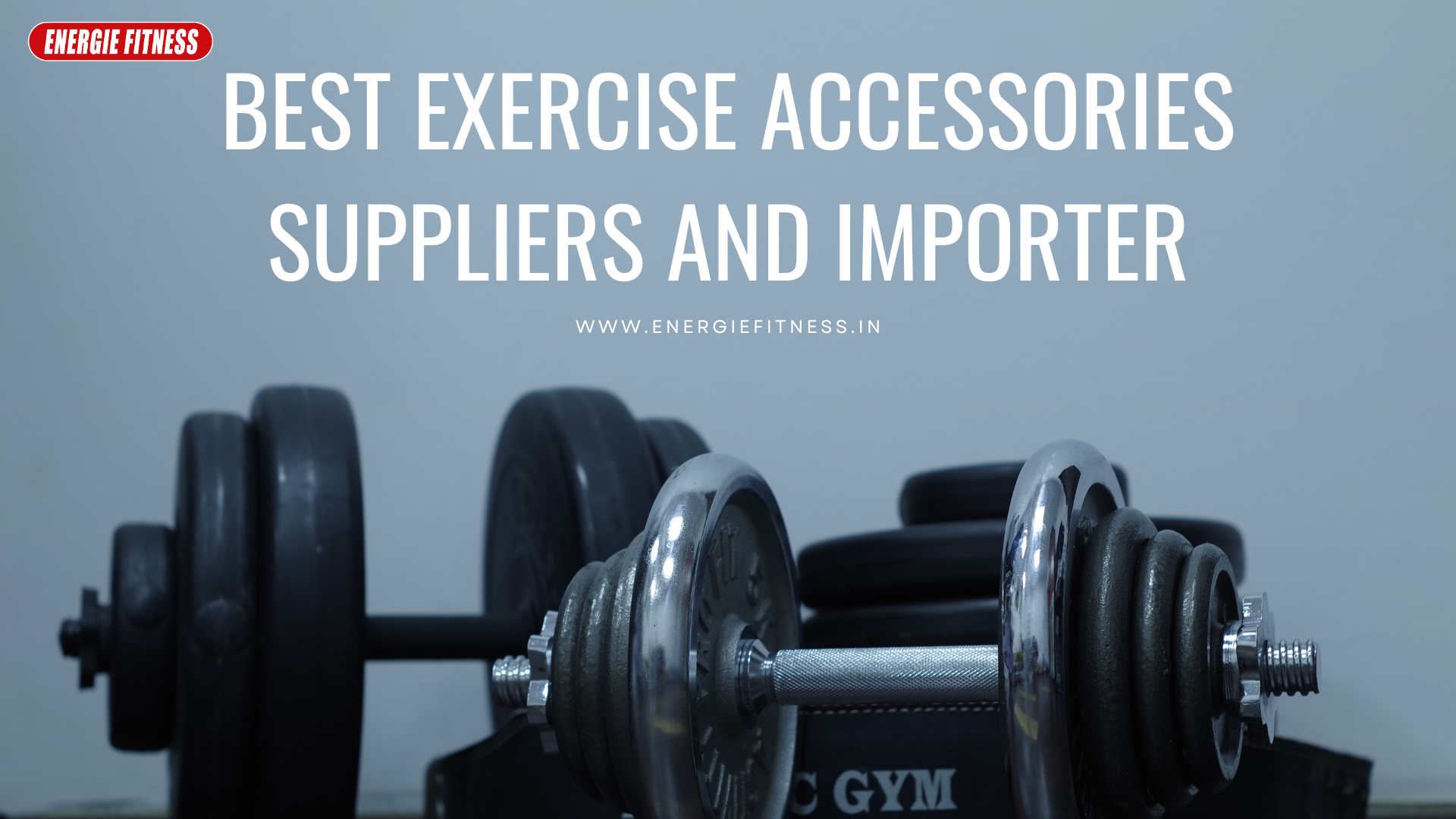 Exercise Accessories Suppliers And Importer: Your Ultimate Guide 