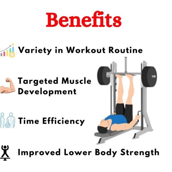 Premium Leg Press 90 degree- ER-976 - Image 4