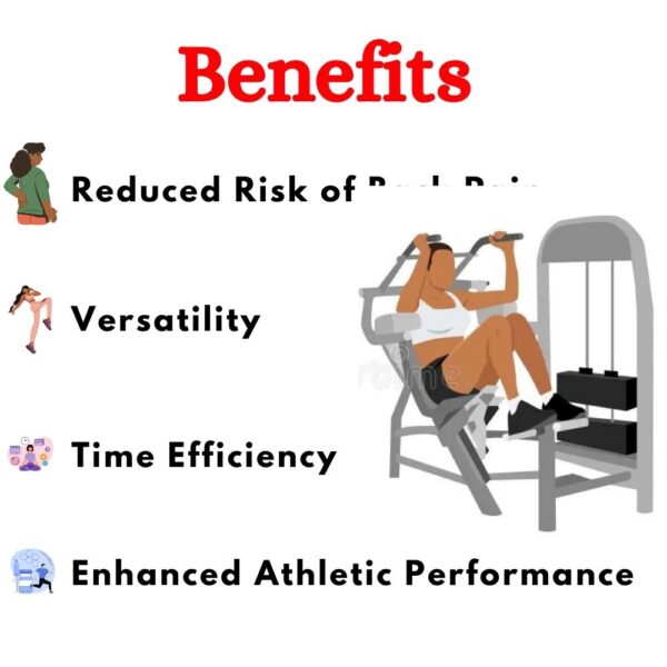 Best Abdominal Machine in India ER-984 - Image 4