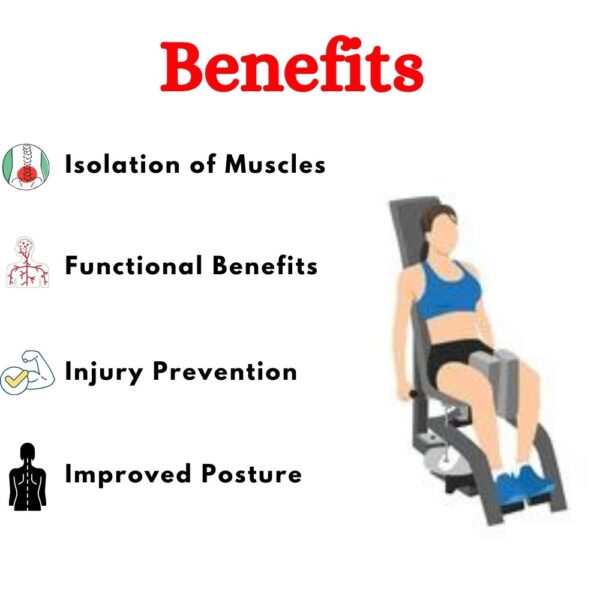 Best Inner Thigh Adductor Machine in India BMW-018 - Image 4