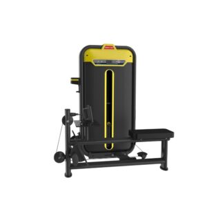 Best Low Row Machine in India BMW-012A