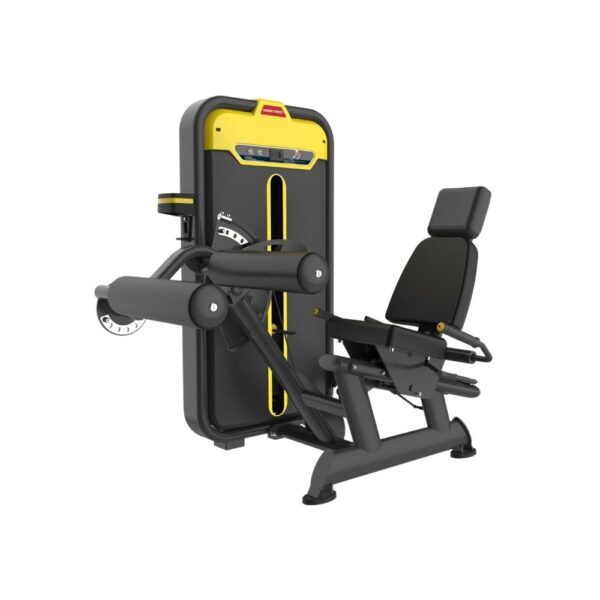 Seated Leg Curl Machine at Price in India BMW-013