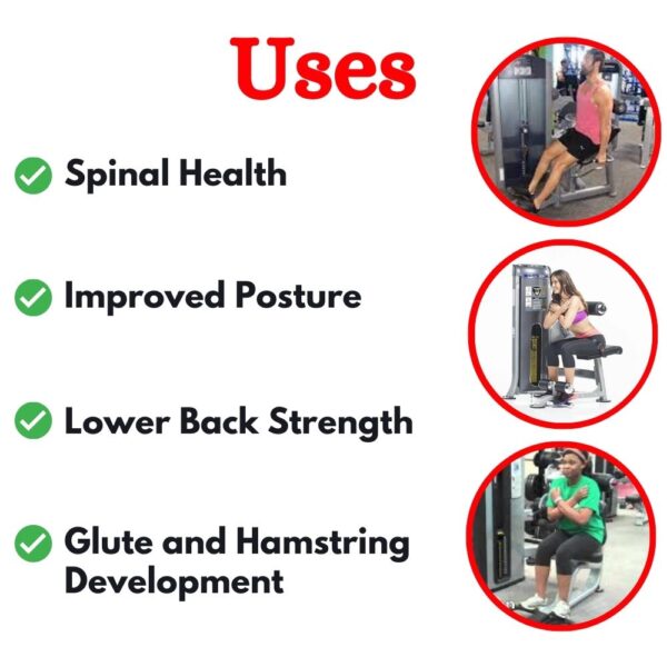 Back Extension Exercise Machine LD-831 - Image 3