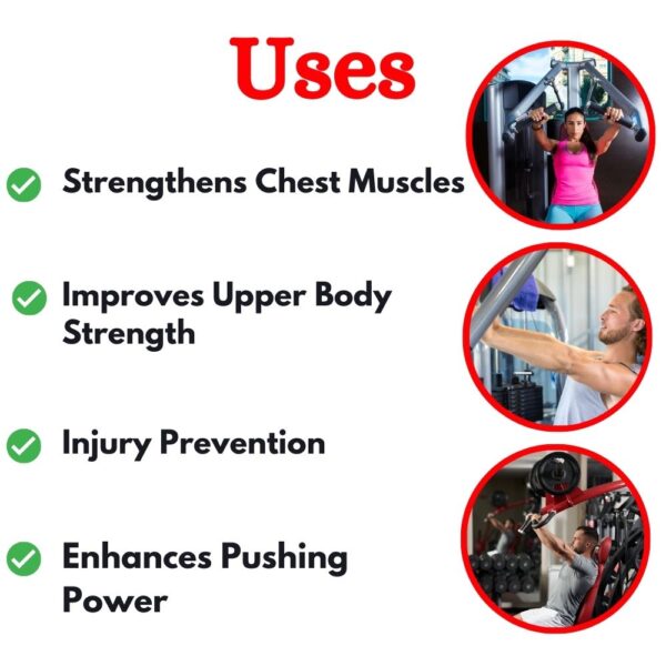 Aesthetic Seated Chest Press Machine HM-001 - Image 3