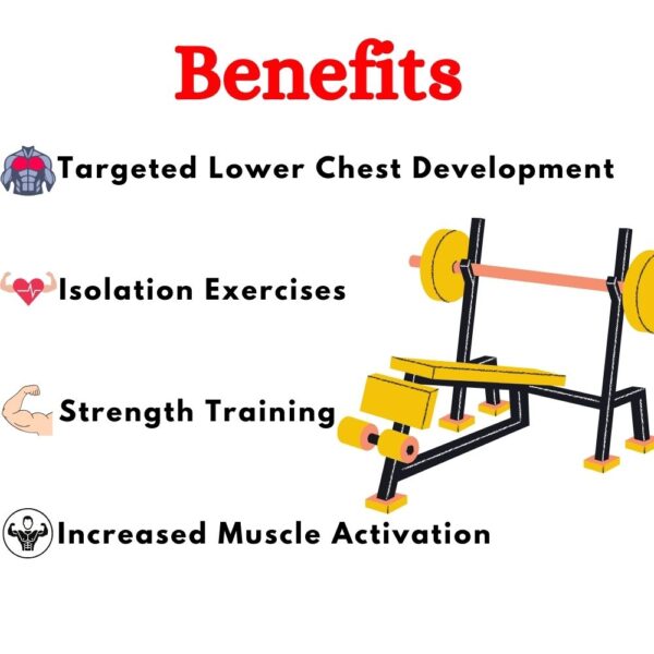 Best Olympic Decline Bench in India ER-30 - Image 4