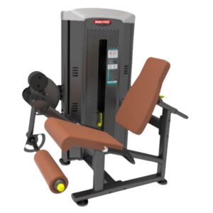 Best Leg Extension in India EMT-014