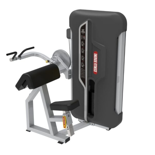 Premium Biceps Curl/Triceps Extension ER-0607
