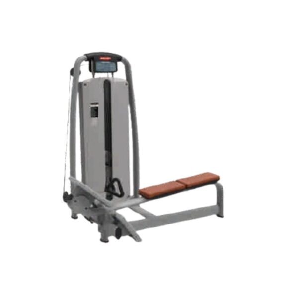 Luxury Seated Horizontal Pully Machine ER-14