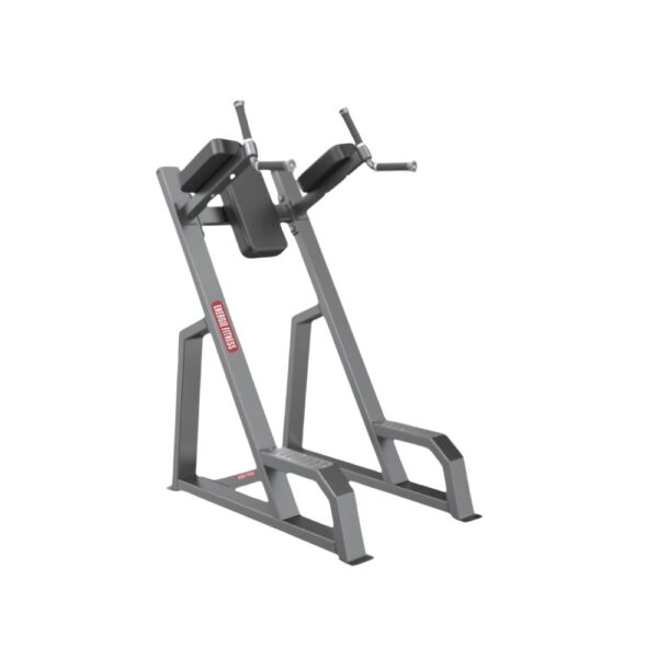 Best Vertical Knee UP / DIP ER-947