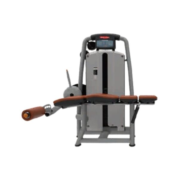 Premium Horizontal Leg Curl Machine ER-96