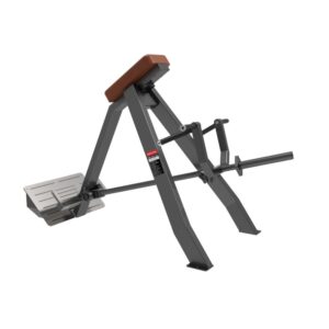 Best Incline Level Row Machine in India ER-961