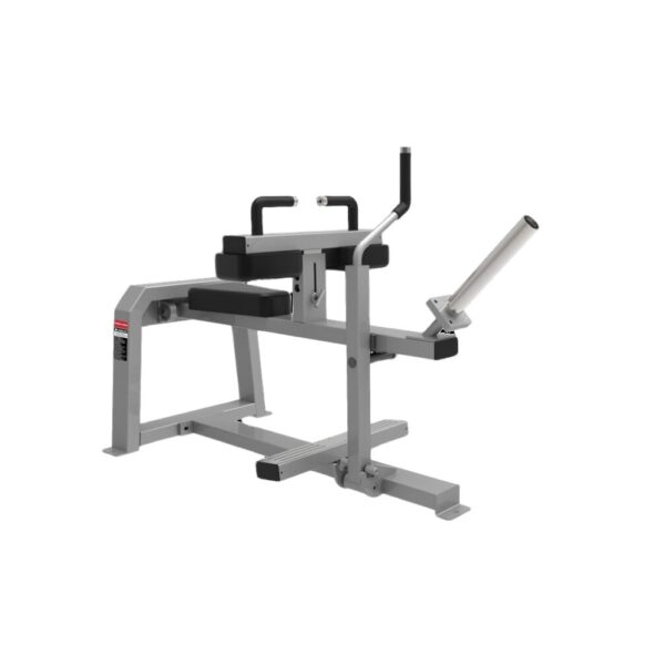 Best Seated Calf Machine in India ER-962