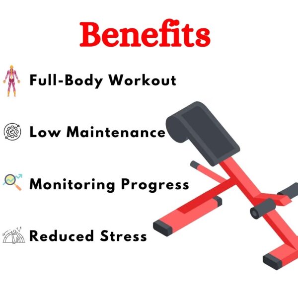 Best Incline Level Row Machine in India ER-961 - Image 4