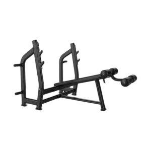 Best Decline Gym Bench (Luxury) J-024
