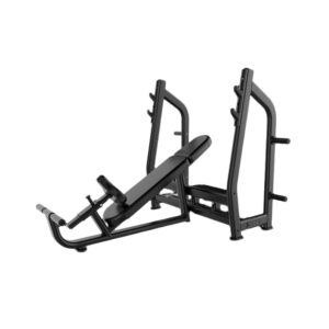 Best Incline Bench (Luxury) in India J-025