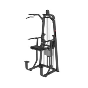 Best Commercial Dip Chin Assist Machine LD-809