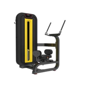 Commercial Rotary Torso in India LD-818