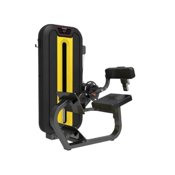Back Extension Exercise Machine LD-831