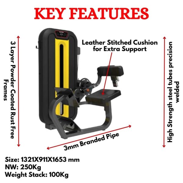 Back Extension Exercise Machine LD-831 - Image 2