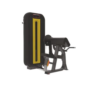 Imported Biceps and Triceps Exercise Machine LD-840