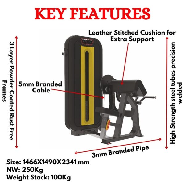 Imported Biceps and Triceps Exercise Machine LD-840 - Image 2
