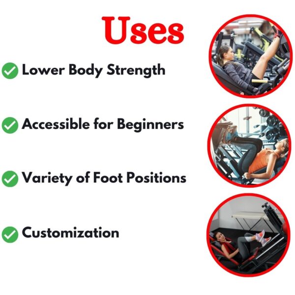 Premium Leg Press 90 degree- ER-976 - Image 3