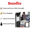 Lower Back Workout Machine BMW-009 - Image 4