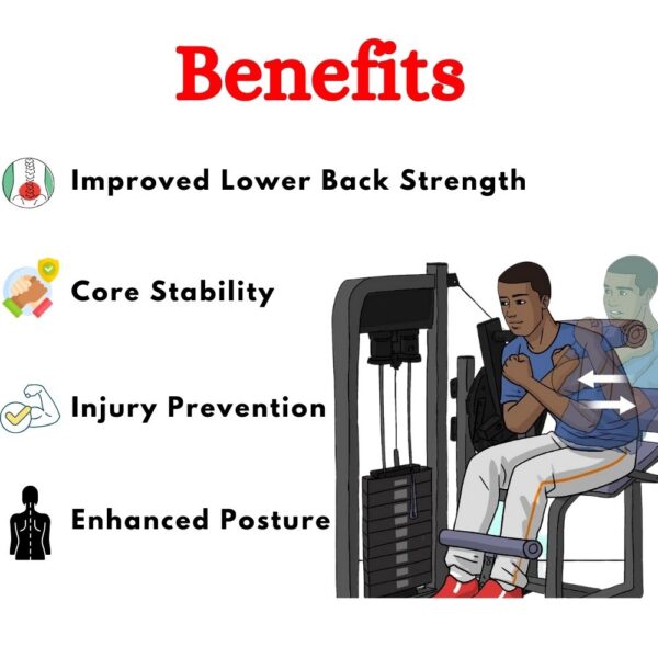Lower Back Workout Machine BMW-009 - Image 4