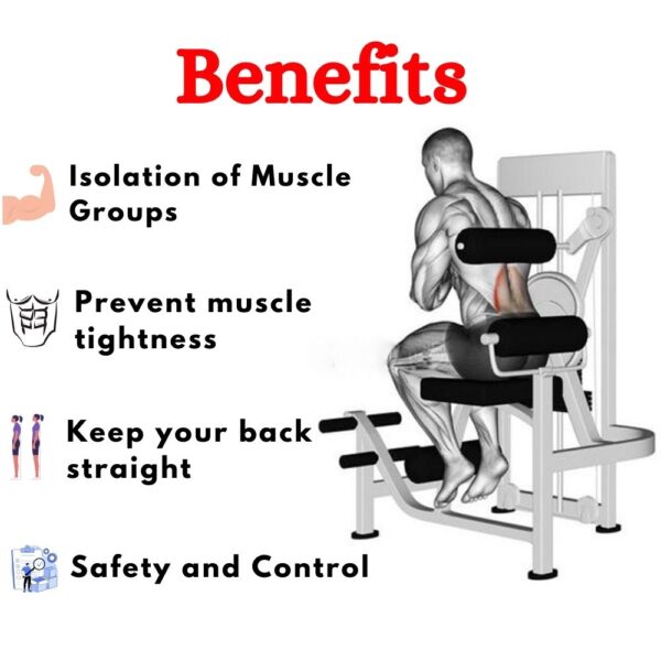 Lower Back/ Abdominal Exercise Machine BMW-0910 - Image 4