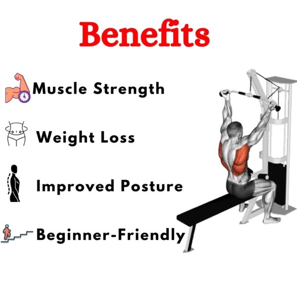 Latest Lat Machine in India ER-12 - Image 4