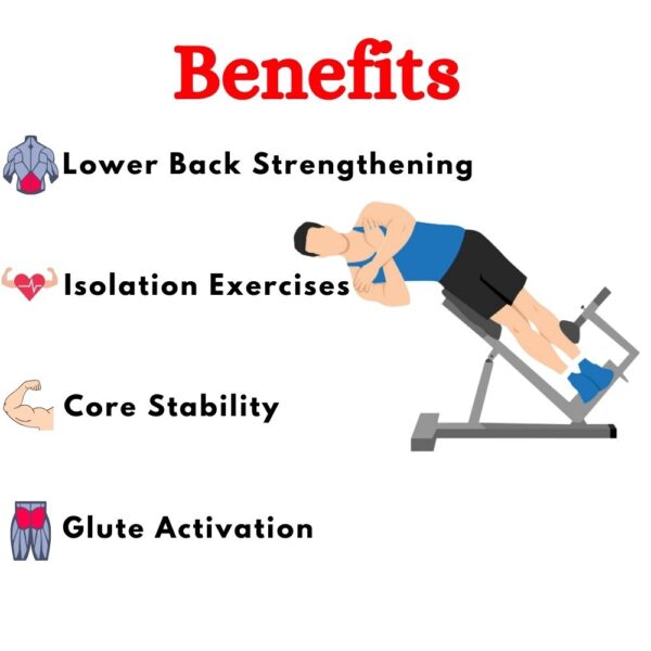 Best Roman Chair for Exercise ER-25 - Image 4