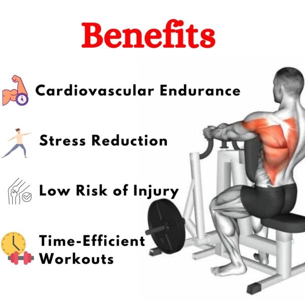 Premium Low row Machine in India- ER-80 - Image 4