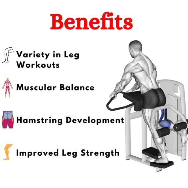 Latest Glute Machine in India ER-79 - Image 4