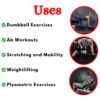 Buy Best Flat Gym Bench ER-16 - Image 3
