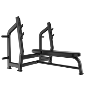 Weight Bench (Luxury) Gym Bench J-023